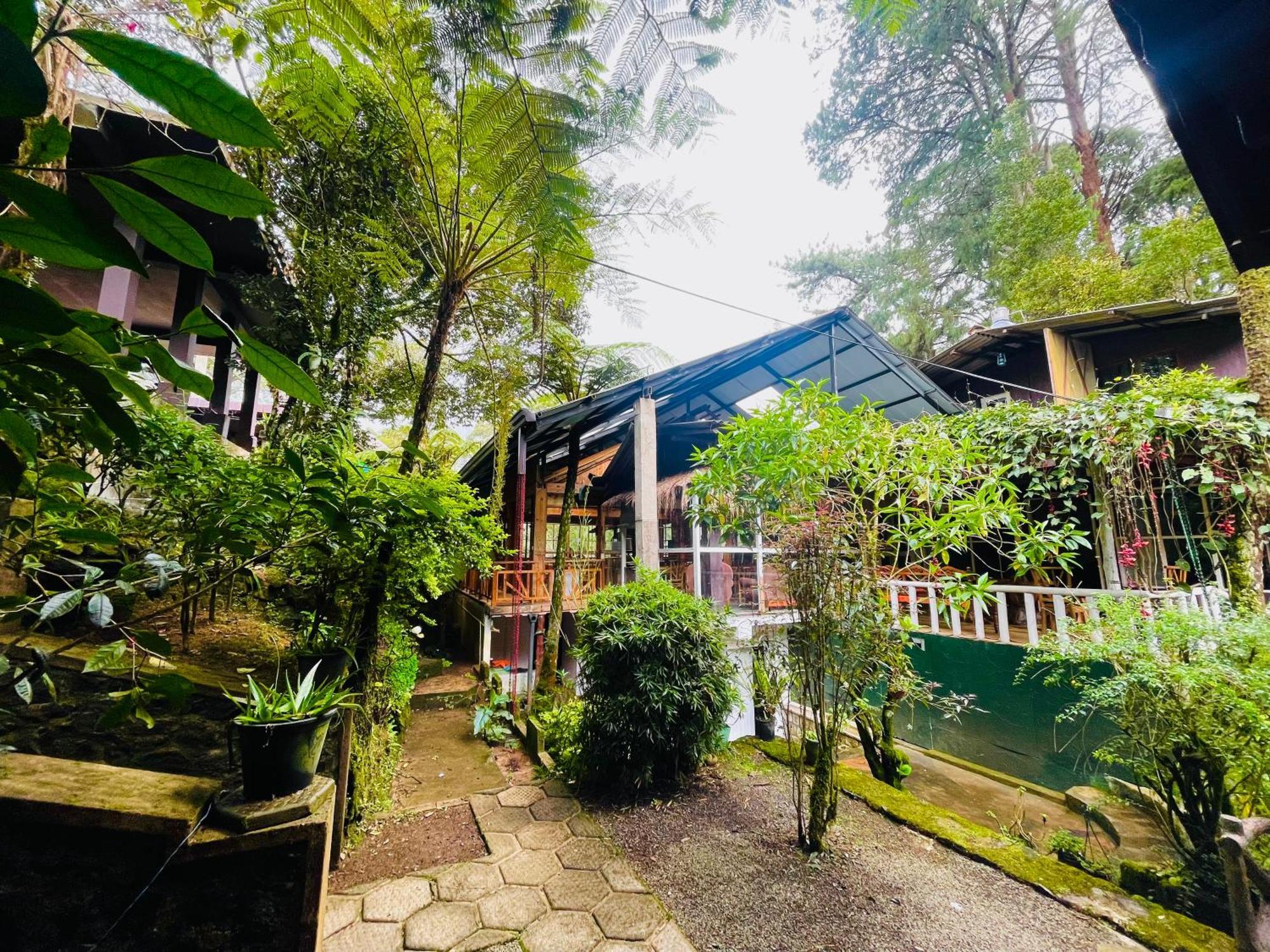 King Fern Cottage Nuwara Eliya Eksteriør billede