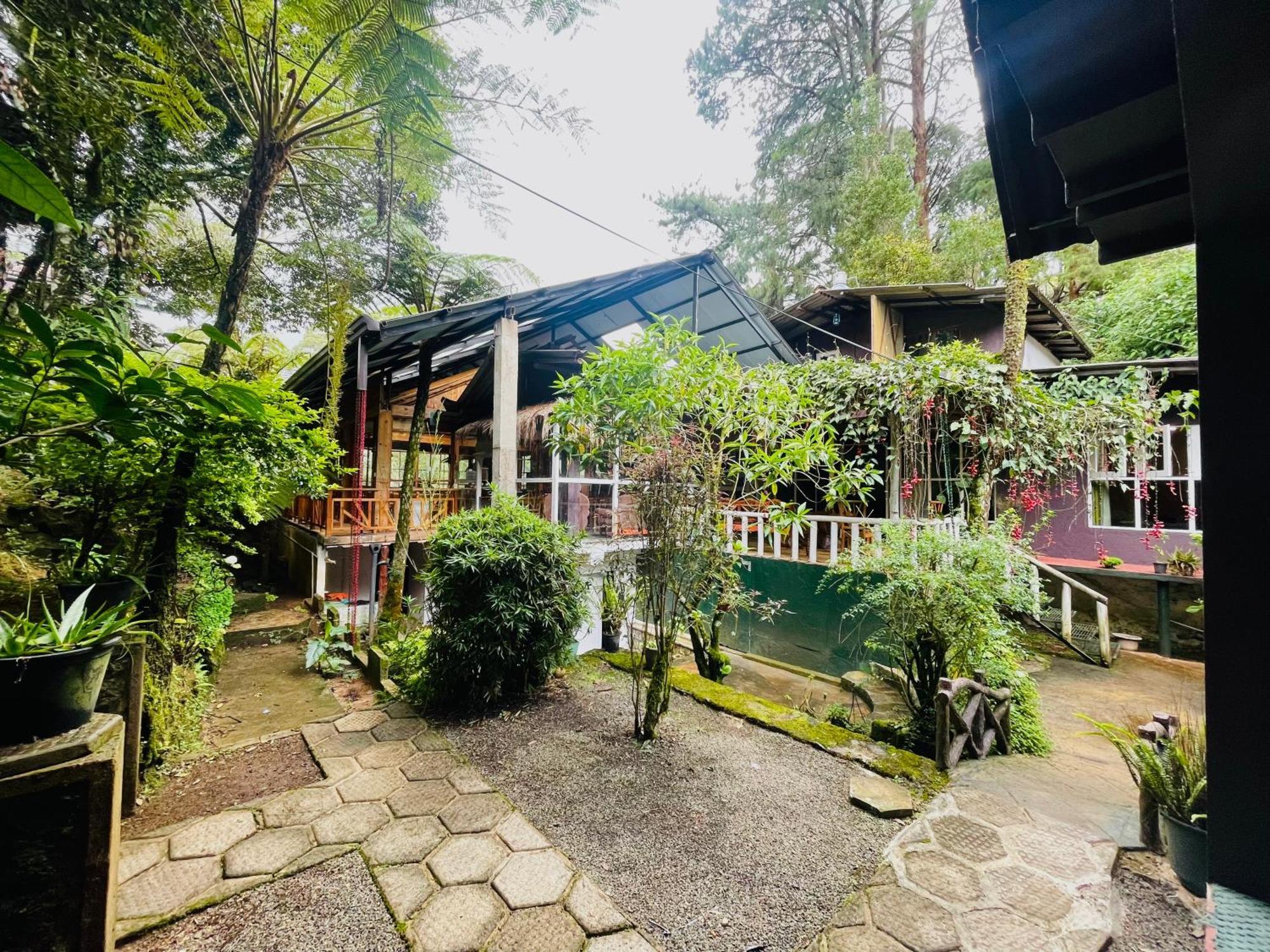 King Fern Cottage Nuwara Eliya Eksteriør billede