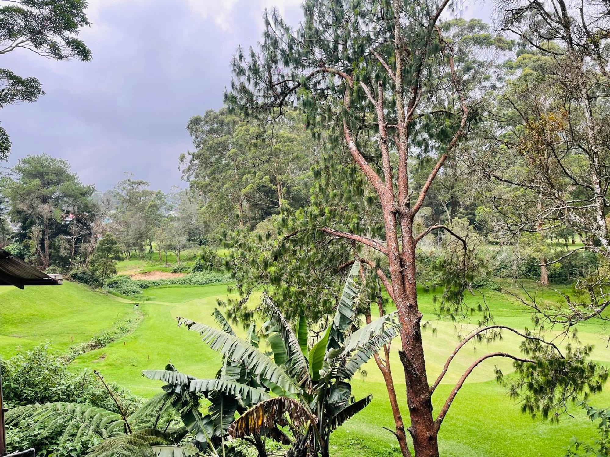 King Fern Cottage Nuwara Eliya Eksteriør billede