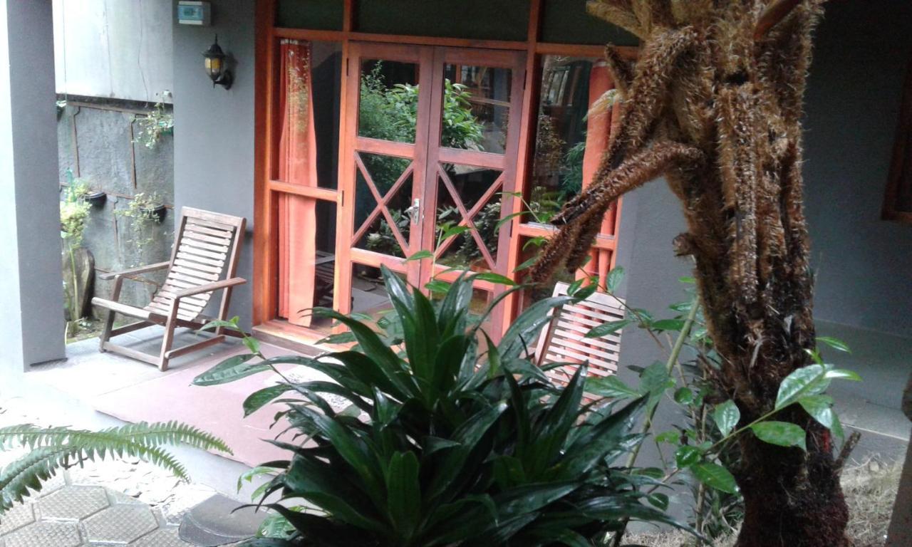 King Fern Cottage Nuwara Eliya Eksteriør billede