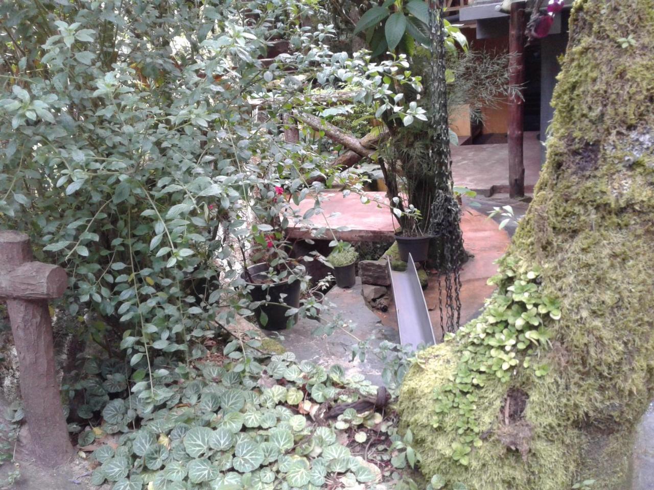 King Fern Cottage Nuwara Eliya Eksteriør billede