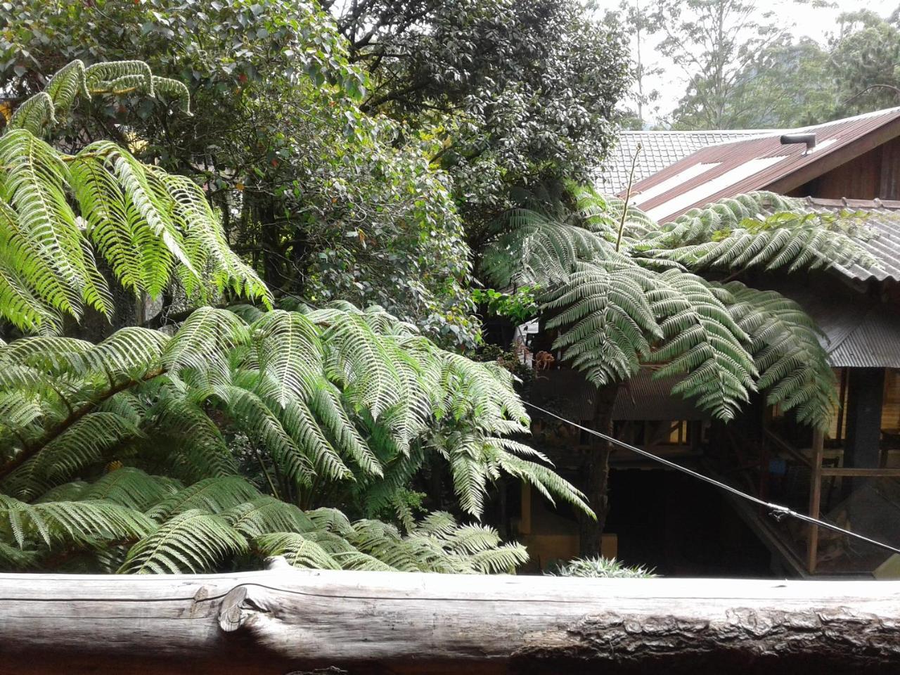 King Fern Cottage Nuwara Eliya Eksteriør billede